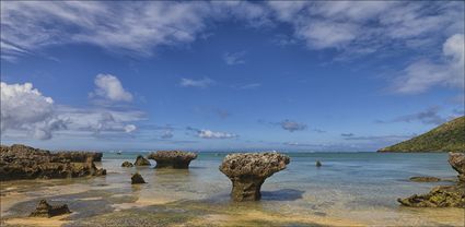 Settlemnt Beach - Lord Howe Island - NSW T (PBH4 00 11718)
